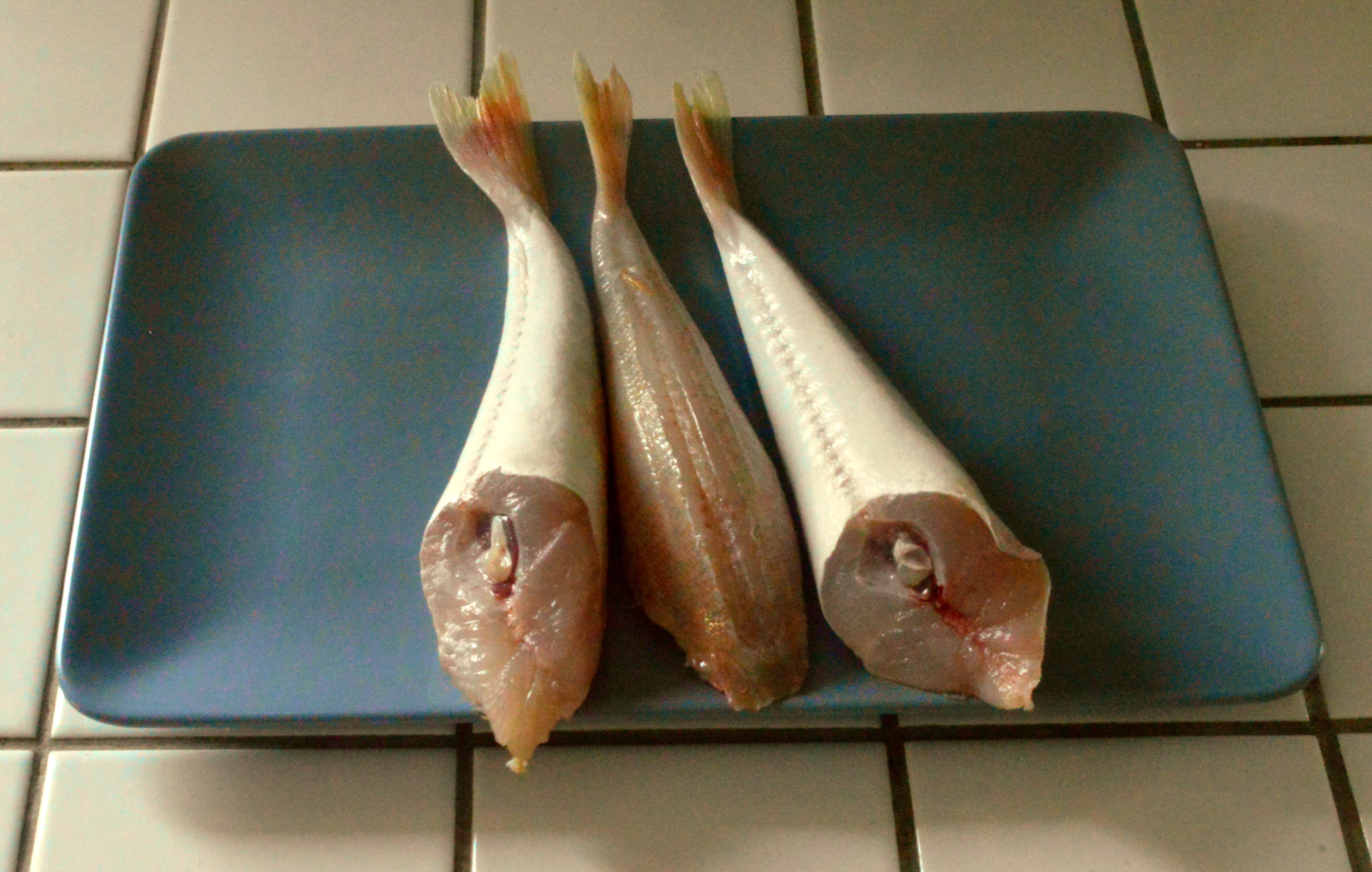 Grondin rouge frit - Pierogi à la Française